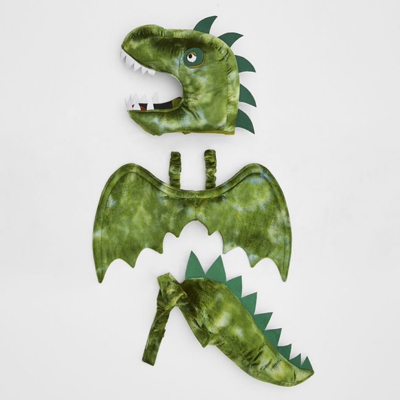 Pottery Barn Kids Other - NWOT Pottery barn Kids Halloween 🎃 
Kid Dino Costume Accessory Set